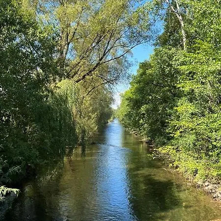 Bodensee Naehe