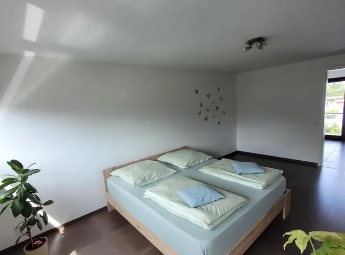 Apartment Bodensee Naehe Rielasingen-Worblingen