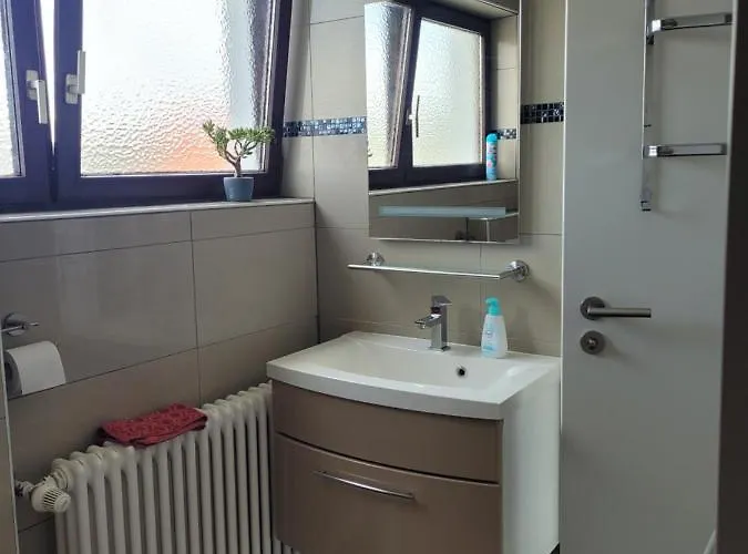 Apartment Bodensee Naehe Rielasingen-Worblingen